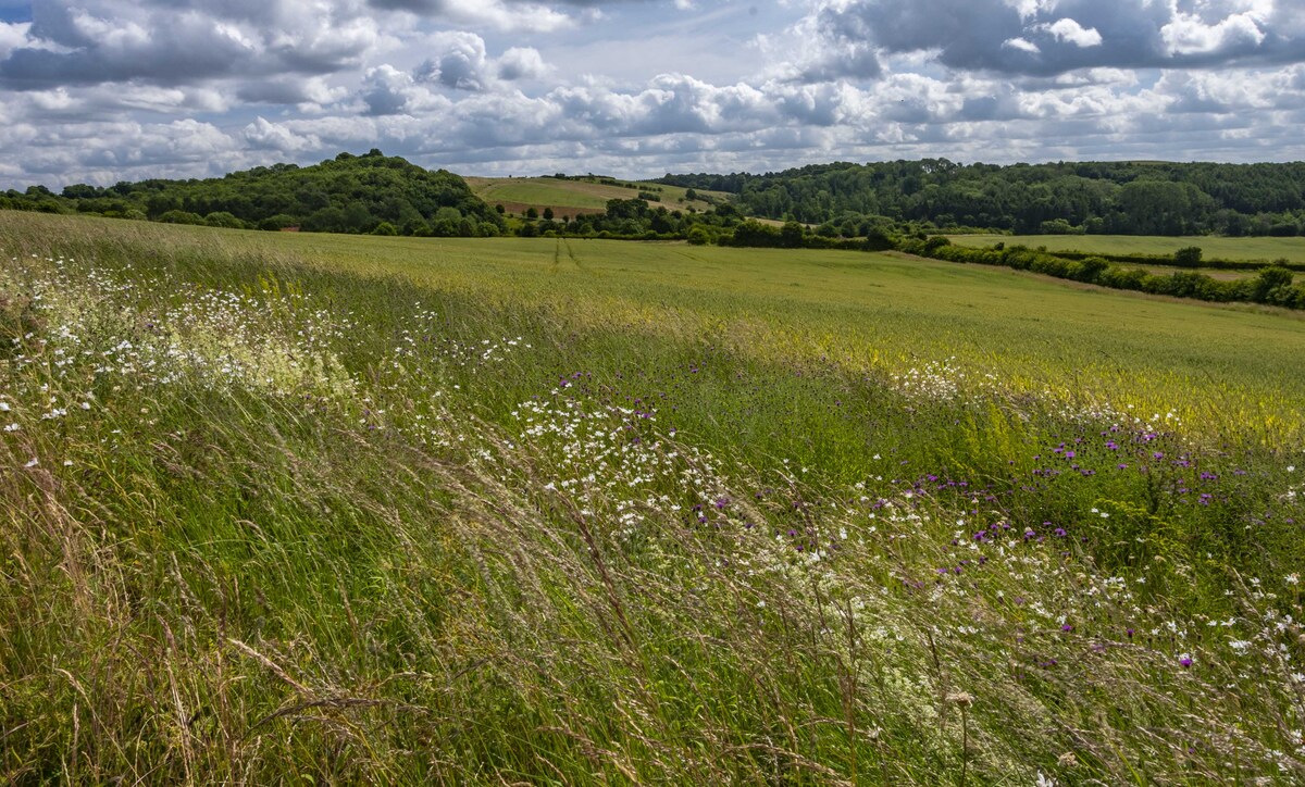 Conservation grade farming